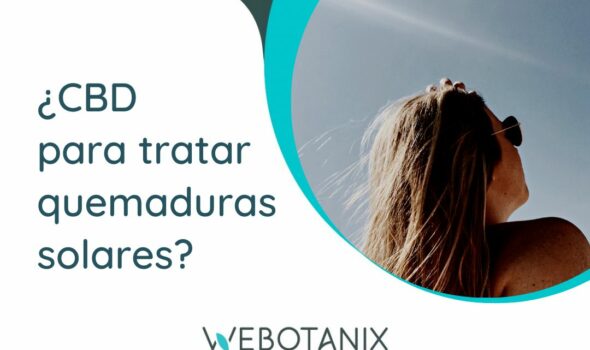 tratar quemaduras solares con cbd