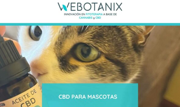 cbd para mascotas