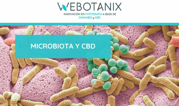microbiota y cbd