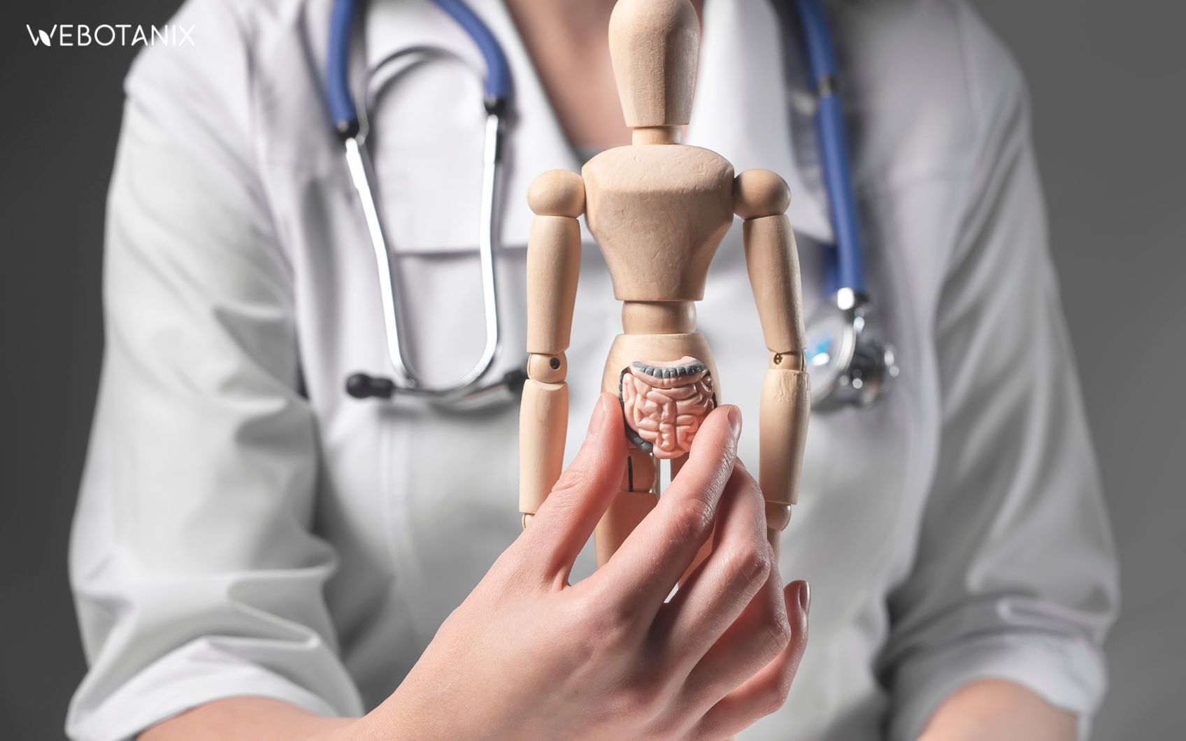 cbd microbiota y eje intestino cerebro
