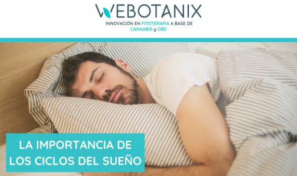importancia de los ciclos de sueño